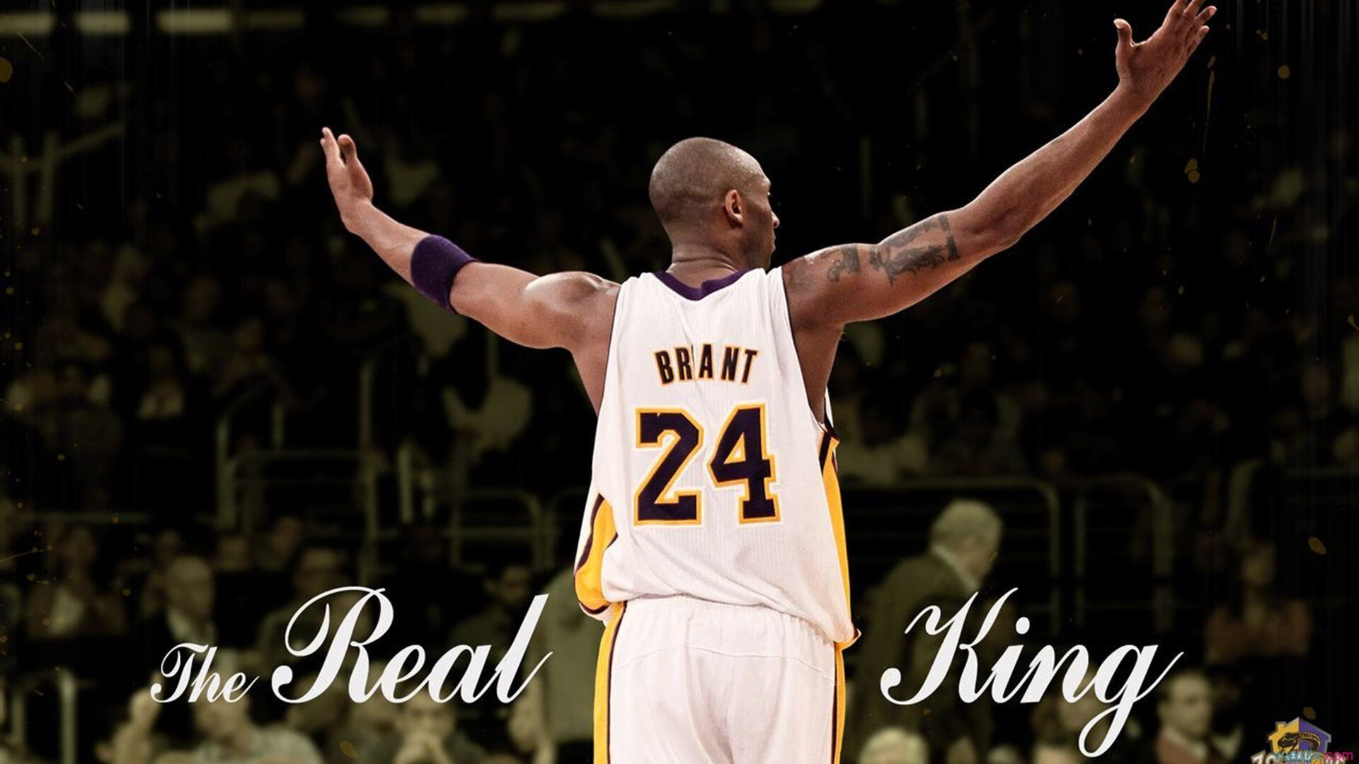 骑士高层参与训练旁听体现管理层对球队支持，骑士的教练是都有谁